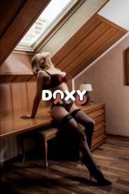 Фотография номер 5 - Лиса, 25 лет